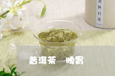 普洱茶 脾胃/2023042935882